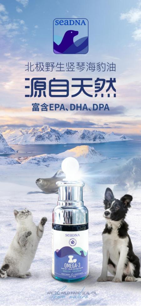 代理| 100%海豹油专注美毛靓肤,天奇贸易总代seadna海豹油