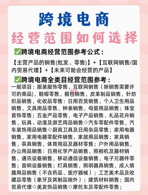 零售) 互联网销售/国内贸易代理 未来可能会经营的产品
